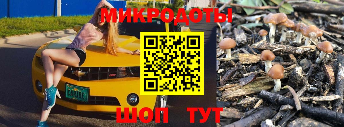 Псилоцибиновые грибы GOLDEN TEACHER  Вход с VPN  Галлюциногенные грибы GOLDEN TEACHER  Верхняя Салда 