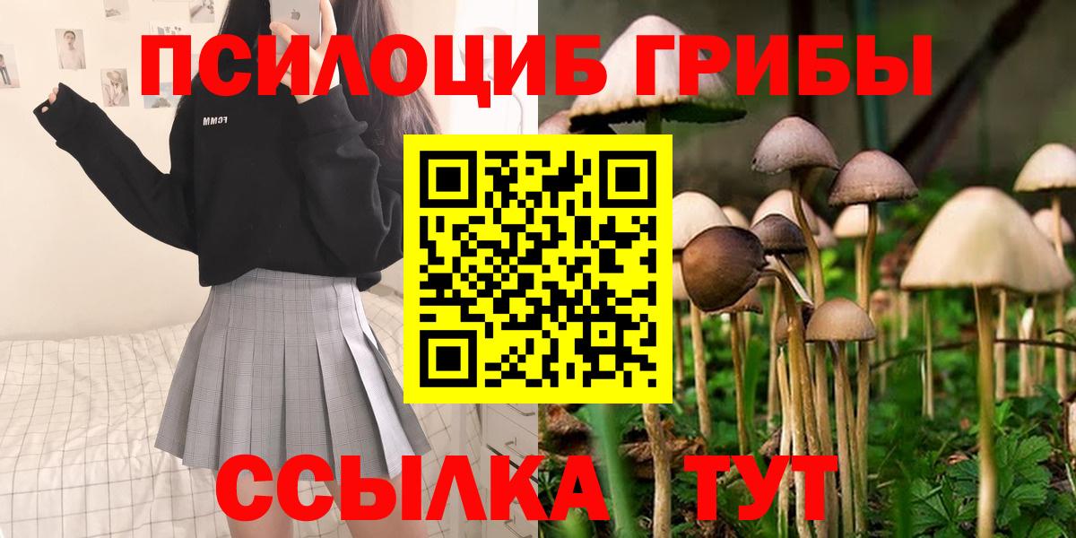 Галлюциногенные грибы прущие грибы Верхняя Салда
